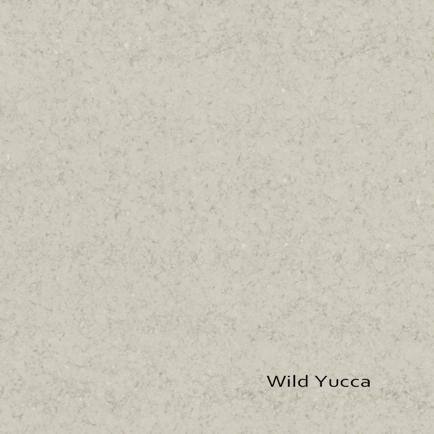 wild yucca